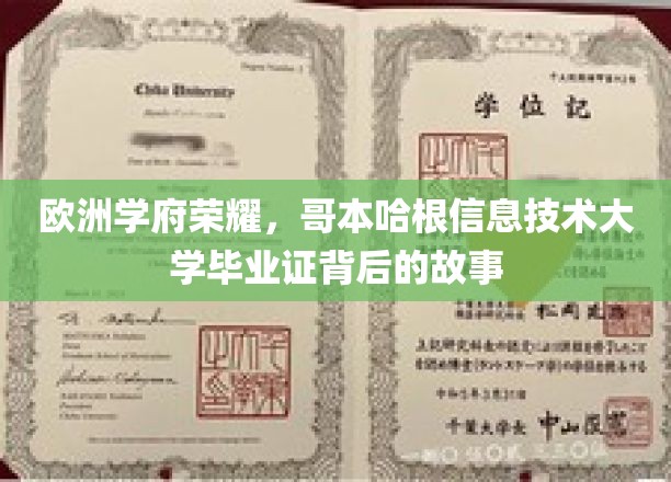 揭开哥本哈根IT精英摇篮，毕业证书背后的传奇故事