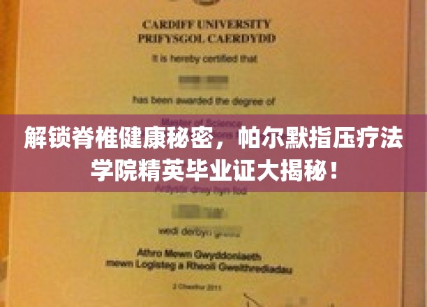 揭秘帕尔默指压疗法学院精英毕业证书背后的脊椎健康奥秘！