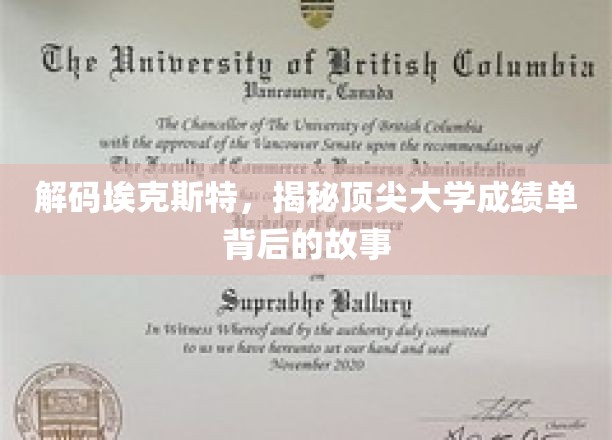 揭开顶尖学府学霸背后的秘密，埃克斯特的卓越之路